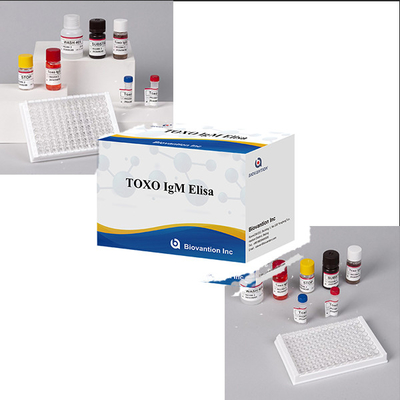 Les hôpitaux, les laboratoires et les cliniques utilisent un kit de test de Toxo IgM ELISA de haute précision.