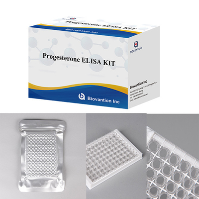 Hôpitaux Laboratoires Cliniques utilisent le progestérone