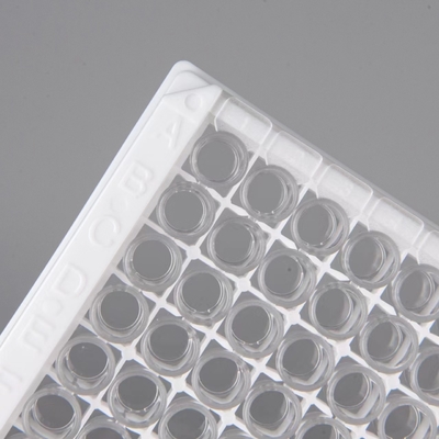 Hôpitaux Laboratoires Cliniques utilisent le progestérone