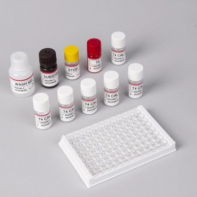 Test d'hormone thyroïdienne T4 triiodothyronine ELISA