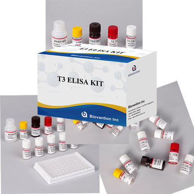 Laboratoire Hôpital Clinique Largement utilisé T3 Triiodothyronine ELISA test kit