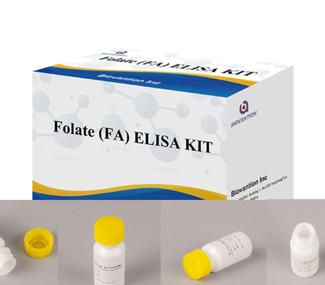 Test Elisa pour les réactifs immunitaires à haute sensibilité liés aux enzymes