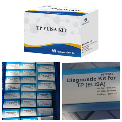 96T Solution de détection Anticorps syphilis Enzyme-linked Immunoassay Elisa Kit de test