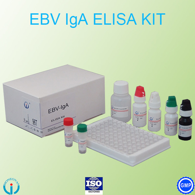 Kit de détection des tests immunologiques pour les lèvres EBV-VCA IgA Ab ELISA