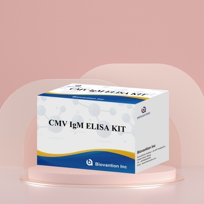 Réactifs d'immunothérapie enzymatique Kit de test Elisa pour la détection des anticorps CMV contre le cytomégalovirus
