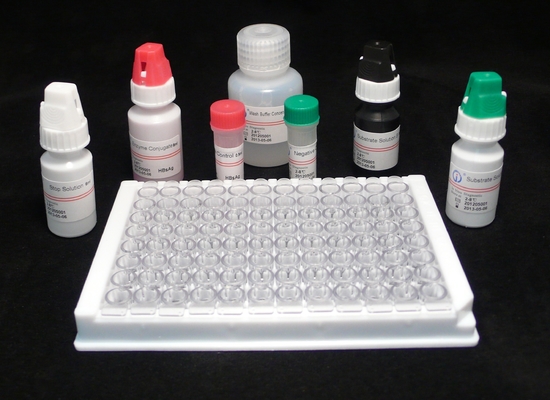 Kit de détection du réactif ELISA, kit de test Elisa HBsAg de haute précision
