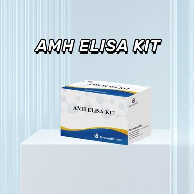 ELISA de l'hormone anti-mullérienne