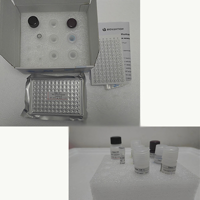 Vitamine E Elisa Test Kit Of Enzyme- Linked Product RESEARCH Utilisation uniquement sur les animaux