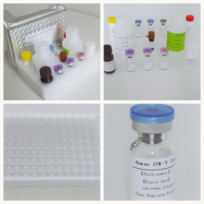 Détection de la réponse immunitaire médiée par des cellules T spécifiques de la mycobacterium tuberculosis Kit de test Elisa