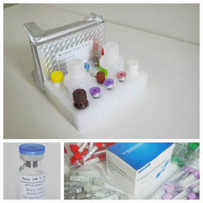 Détection de la réponse immunitaire médiée par des cellules T spécifiques de la mycobacterium tuberculosis Kit de test Elisa