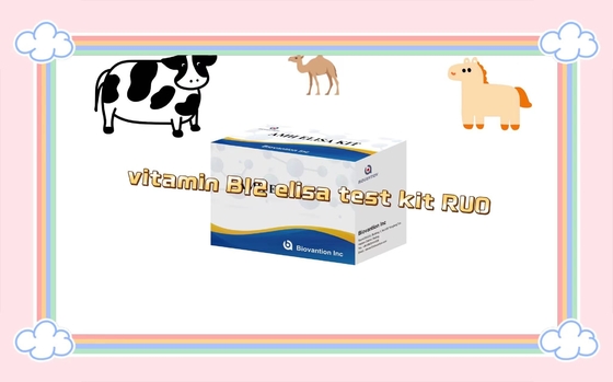 Vitamine B12 Elisa Test Kit Of Enzyme- Linked Product RESEARCH Utilisation uniquement chez l' animal