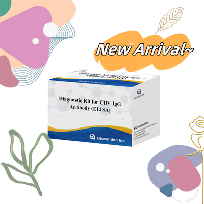 Kit de diagnostic de sensibilité pour détecter les anticorps CBV-IgG chez l'homme