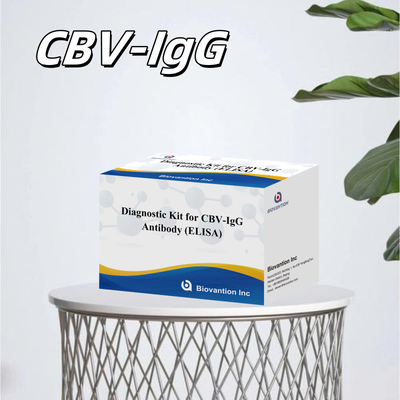 Kit de diagnostic de sensibilité pour détecter les anticorps CBV-IgG chez l'homme