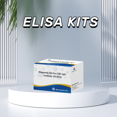 Kit de diagnostic de sensibilité pour détecter les anticorps CBV-IgG chez l'homme