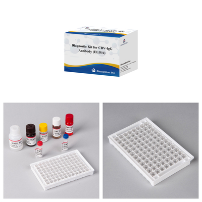 Kit de diagnostic de sensibilité pour détecter les anticorps CBV-IgG chez l'homme