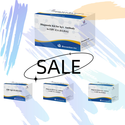 Kit de diagnostic de la sensibilité à 2-8°C pour les anticorps IgA à l'EBV-EA