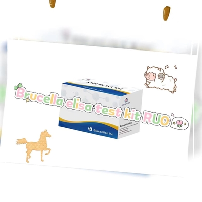Kit de test de la brucella elisa RUO Kit de test de l'élisa de la recherche sur les produits liés à l'enzyme Utiliser uniquement les tests sur les animaux