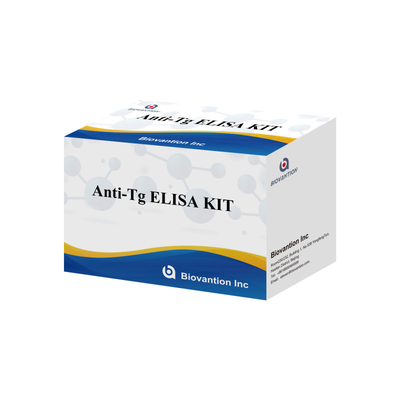 Kit de diagnostic Elisa pour les anticorps antithyroglobuline humaine anti-Tg pour les hôpitaux et les laboratoires