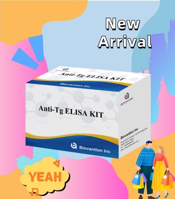 Kit de diagnostic Elisa pour les anticorps antithyroglobuline humaine anti-Tg pour les hôpitaux et les laboratoires