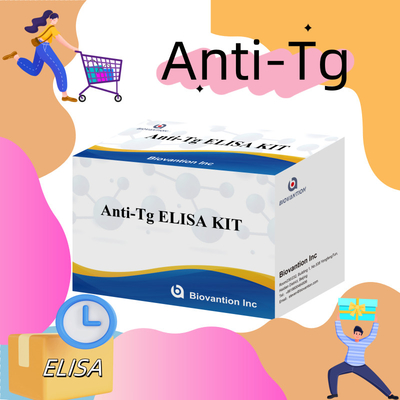 Kit de diagnostic Elisa pour les anticorps antithyroglobuline humaine anti-Tg pour les hôpitaux et les laboratoires
