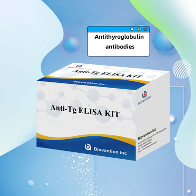 Kit de diagnostic Elisa pour les anticorps antithyroglobuline humaine anti-Tg pour les hôpitaux et les laboratoires