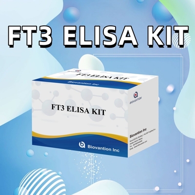 FT3 Triiodothyronine libre pour les kits de réactifs de diagnostic humains avec test ELISA 96T pour le laboratoire de l'hôpital clinique