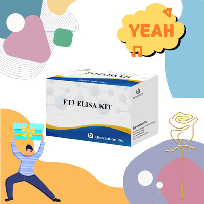 FT3 Triiodothyronine libre pour les kits de réactifs de diagnostic humains avec test ELISA 96T pour le laboratoire de l'hôpital clinique