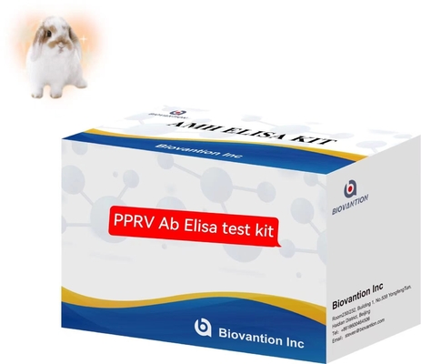 Peste des petits ruminants PPRV Ab ELISA Kit Kit de test vétérinaire