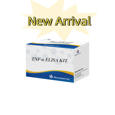 TNF-α RUO Elisa Test pour le plasma sérique Solution de diagnostic précise et pratique pour la recherche