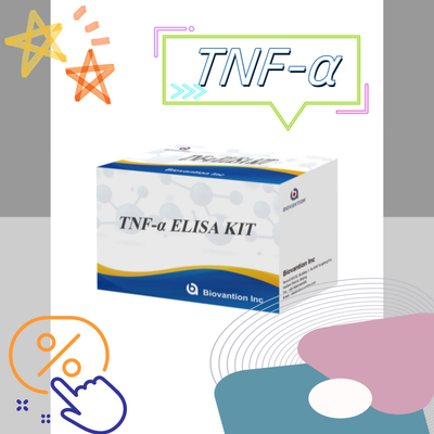 TNF-α RUO Elisa Test pour le plasma sérique Solution de diagnostic précise et pratique pour la recherche