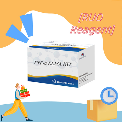 TNF-α RUO Elisa Test pour le plasma sérique Solution de diagnostic précise et pratique pour la recherche