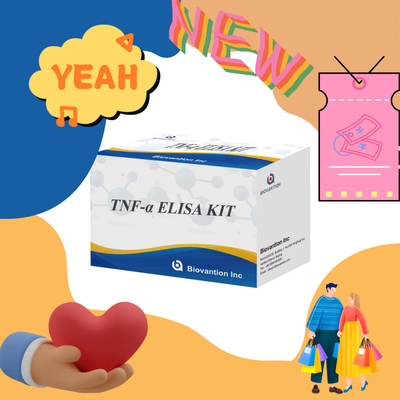 TNF-α RUO Elisa Test pour le plasma sérique Solution de diagnostic précise et pratique pour la recherche