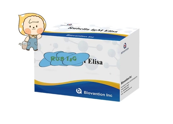 Rubéole IgG ELisa Test Kit Fertilité Troch Utilisation par les femmes enceintes
