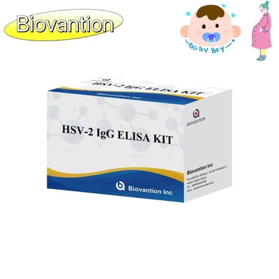 Instructions d'utilisation de haute précision pour le kit de test ELISA à torche IgG HSV II