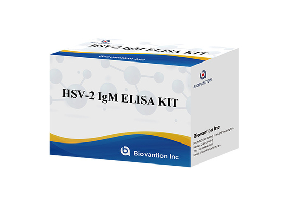 Kit d'essai ELISA pour HSV 2 IgM Torch Instructions d'utilisation de haute précision
