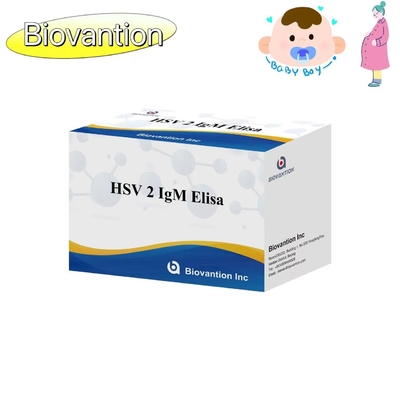 Kit d'essai ELISA pour HSV 2 IgM Torch Instructions d'utilisation de haute précision