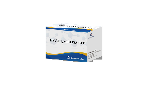 Kit de test ELISA à la torche HSV 1 IgM Réactif de diagnostic à haute vitesse IVD