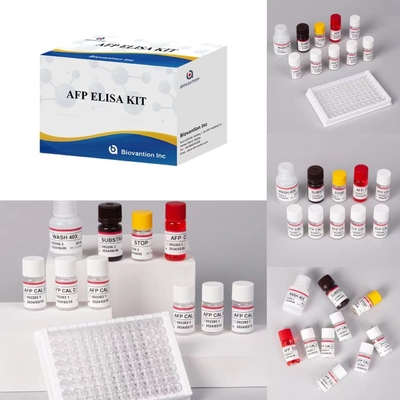 AFP Alpha Fetoprotein Elisa Test Kit Produits liés aux enzymes Temps de transport court