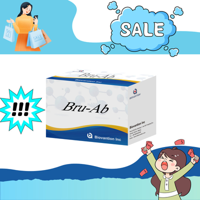 ELISA Animal Bru-Ab Réactif Elisa de 192 t Pour les porcs, les chèvres, les bovins et les moutons