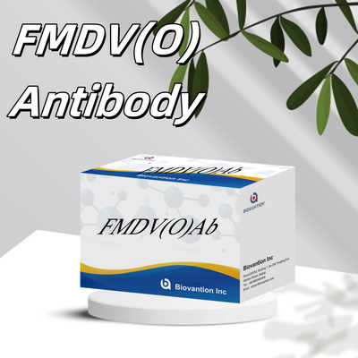 Virus de la fièvre aphteuse bovine O Kit de test rapide d'anticorps FMD FMDV Détection de maladies dévastatrices du bétail