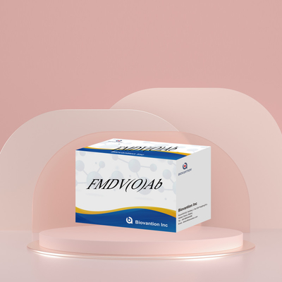 Virus de la fièvre aphteuse bovine O Kit de test rapide d'anticorps FMD FMDV Détection de maladies dévastatrices du bétail