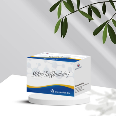 Kit d'essai ELISA précis et rapide Instrument vétérinaire de détection quantitative de la ferritine sérique Diagnostic