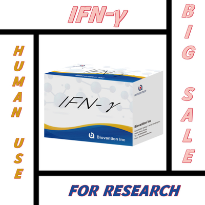 Études de laboratoire Kit de réactifs Elisa à usage humain IFN-γ Réactifs Elisa Haute sensibilité