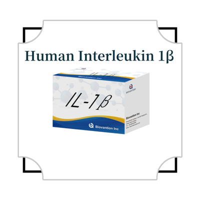 Elisa Interleukine humaine 1β ((IL-1β) Uniquement à des fins de recherche