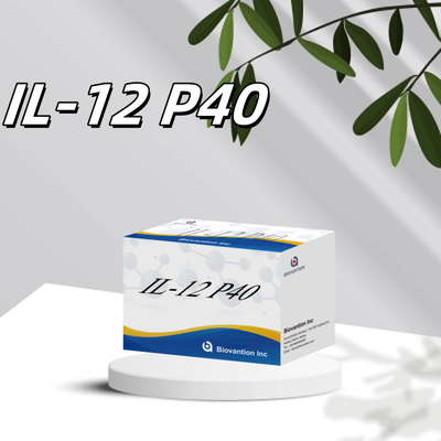 96 T sérum 98% de spécificité ELISA RUO Test Kit humain IL-12 P40