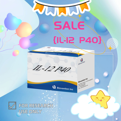 96 T sérum 98% de spécificité ELISA RUO Test Kit humain IL-12 P40