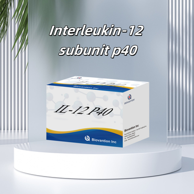 96 T sérum 98% de spécificité ELISA RUO Test Kit humain IL-12 P40