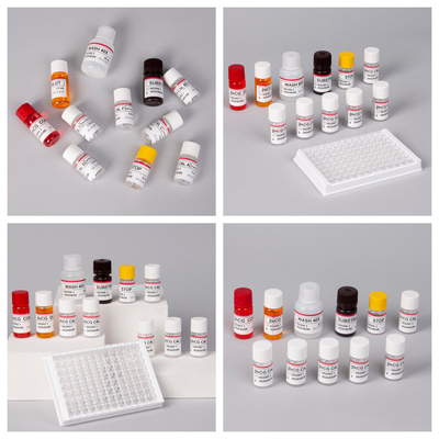 Kit de test Elisa de 1 heure pour la sensibilité et la spécificité des anticorps