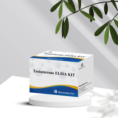 Échantillon de plasma sérique Elisa réactif de détection humaine Test0sterone Kit quantitatif Elisa