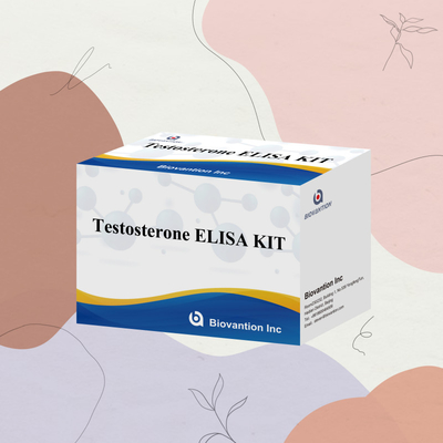 Échantillon de plasma sérique Elisa réactif de détection humaine Test0sterone Kit quantitatif Elisa